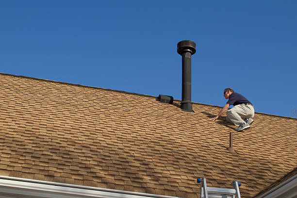 Best Roof Moss and Algae Removal  in Bayville, NY